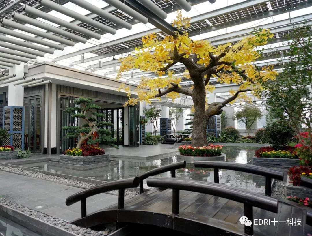 1538272367828468.jpg 3.jpg