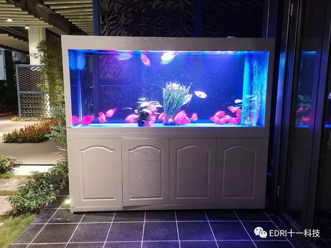 1538272561148401.jpg 17.jpg